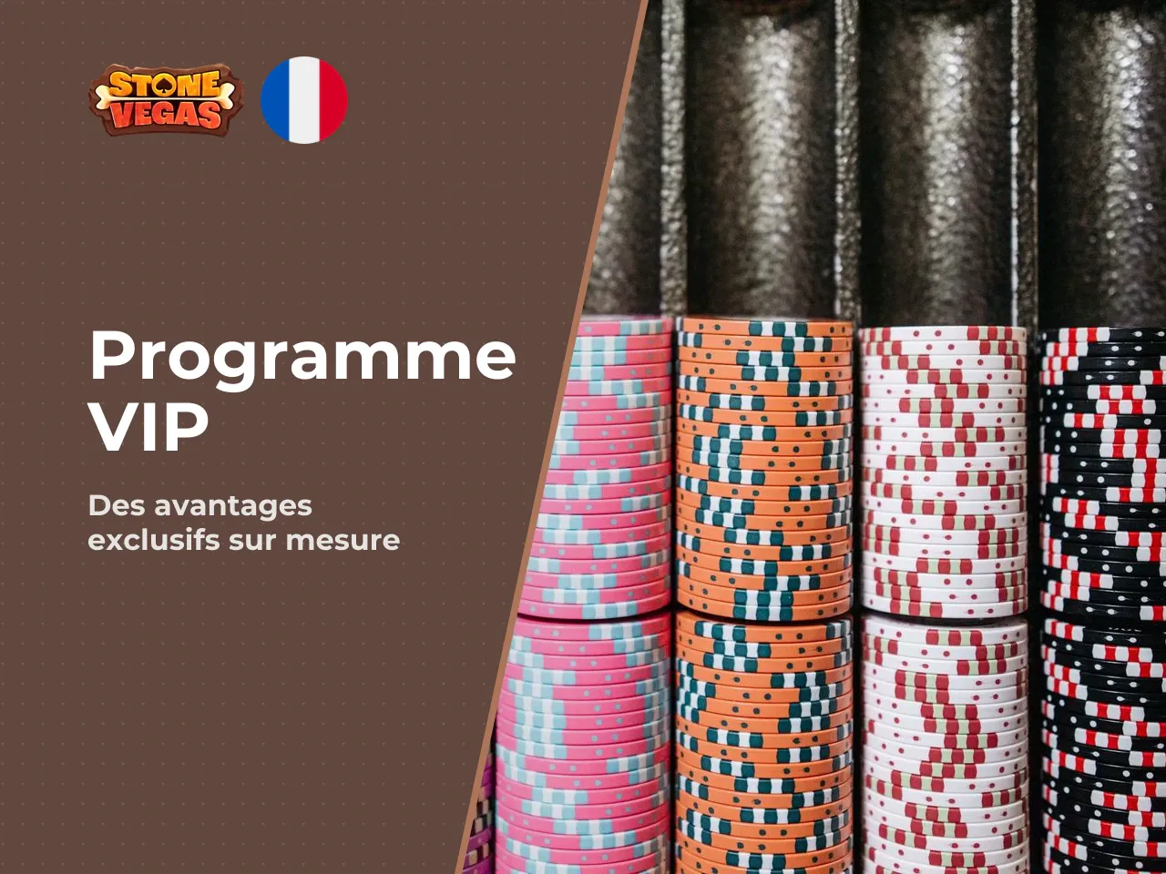 Le programme VIP structure l'ensemble de